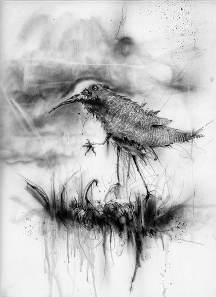 Nightmare Soup 2: Digital Edition and Audiobook Combo