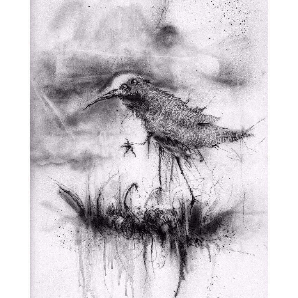 The Bird - Premium Art Prints