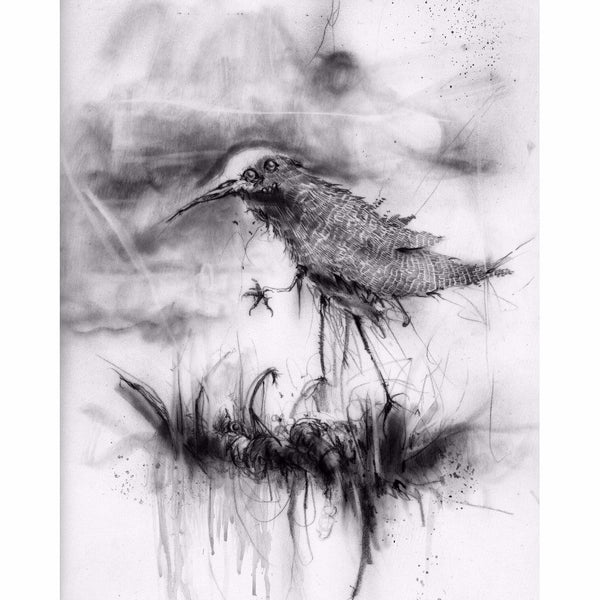 The Bird - Premium Art Prints